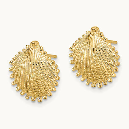Scallop Shell Post Earrings, 14K