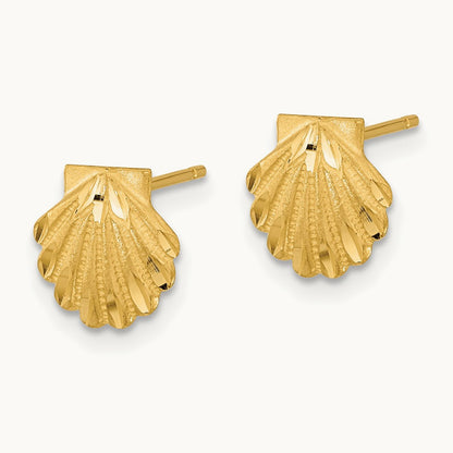 Satin Diamond-cut Seashell Post Earrings, 14K