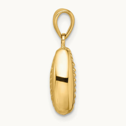 Polished 3-D Cowrie Shell Pendant, 14K