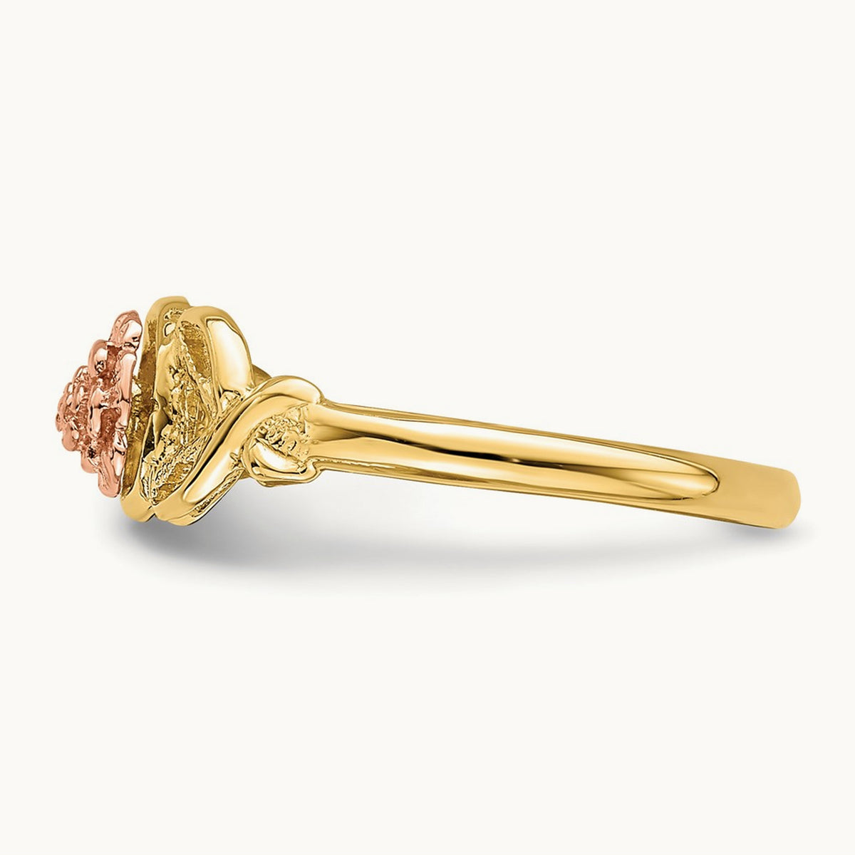 Polished Ring, 14K Two-tone
