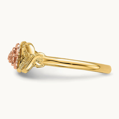 Polished Ring, 14K Two-tone