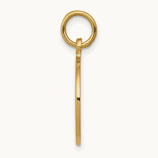 Satin and Polished Communion Charm, 14K
