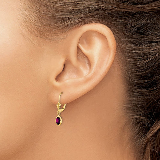 6x4 Oval Bezel June/Rhodolite Leverback Earrings — 14K Yellow Gold