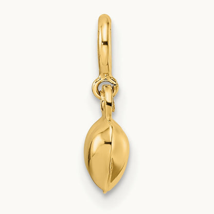 Polished Heart w/ Spring Ring Clasp Charm, 14K