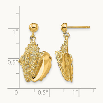2-D Conch Shell Dangle Post Earrings, 14K