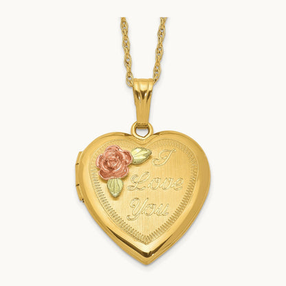 With 12k Accents and Gold-filled Chain Black Hills Locket