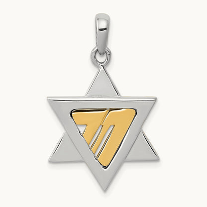 Star of David Pendant, 14K Two-tone