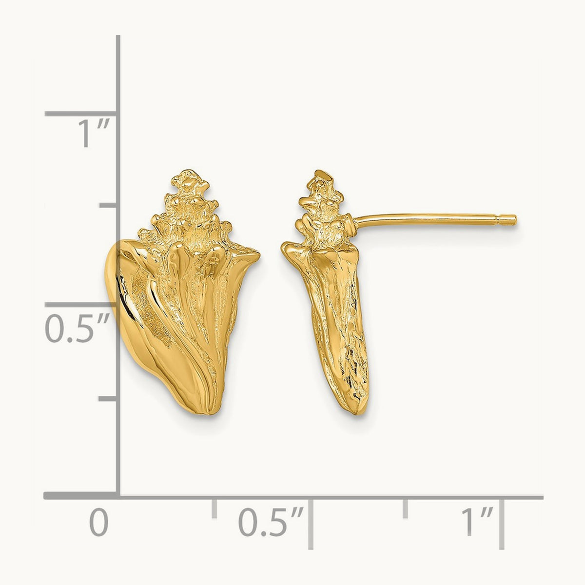 2-D Conch Shell Post Earrings, 14K