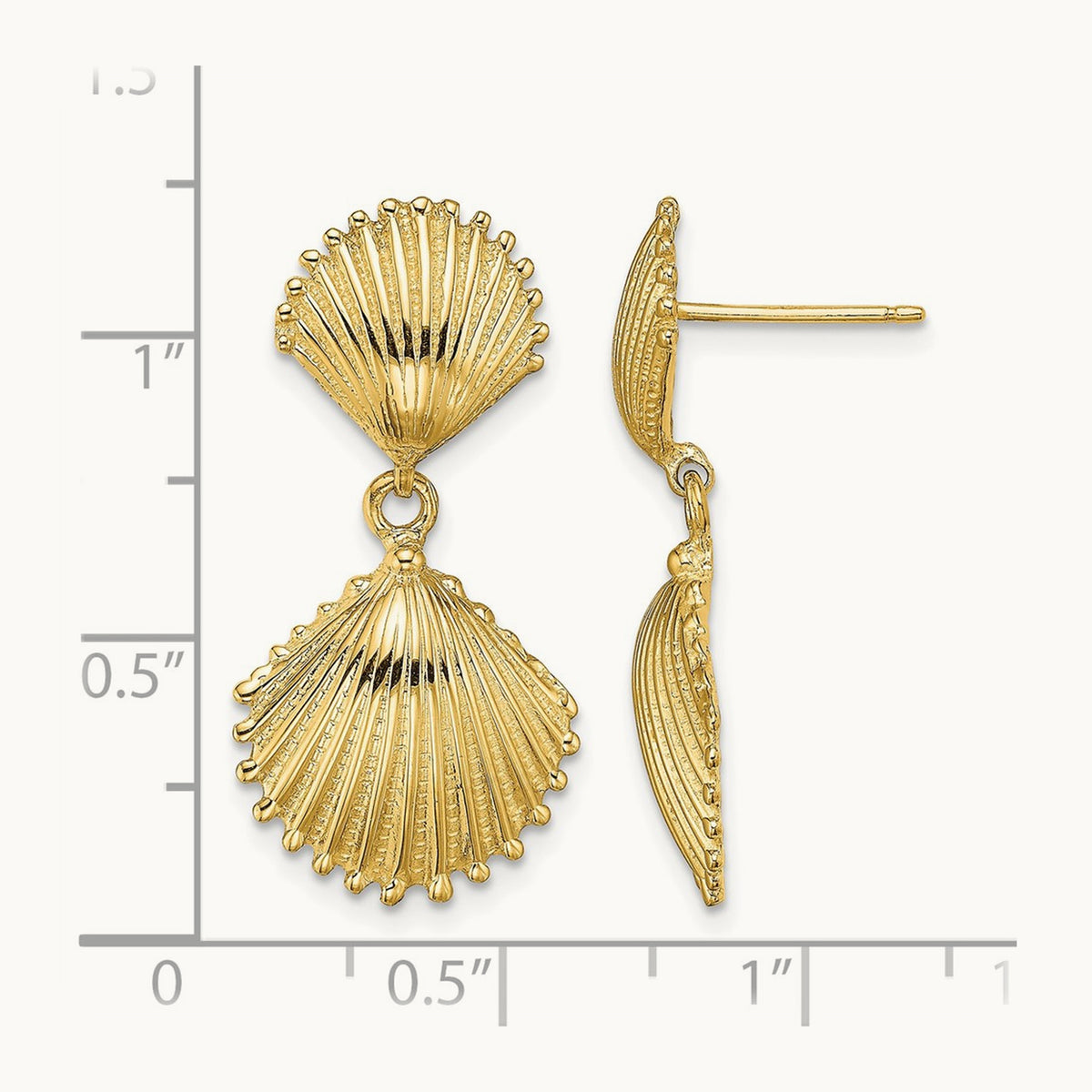 Polished Scallop Shell Dangle Earrings — 29.3mm