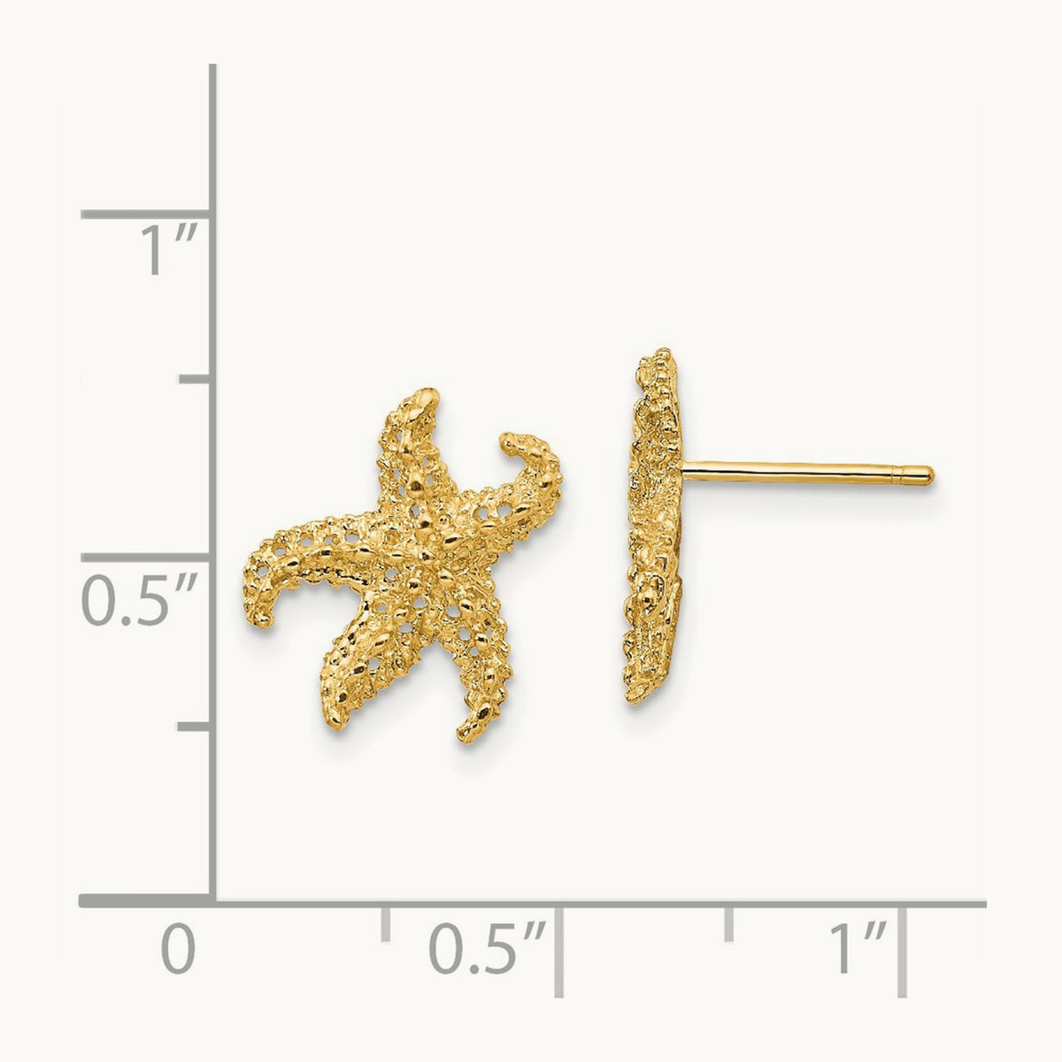Starfish Earrings, 14K