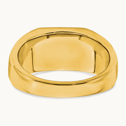 Created Ruby and Diamond Mens Ring, 14K