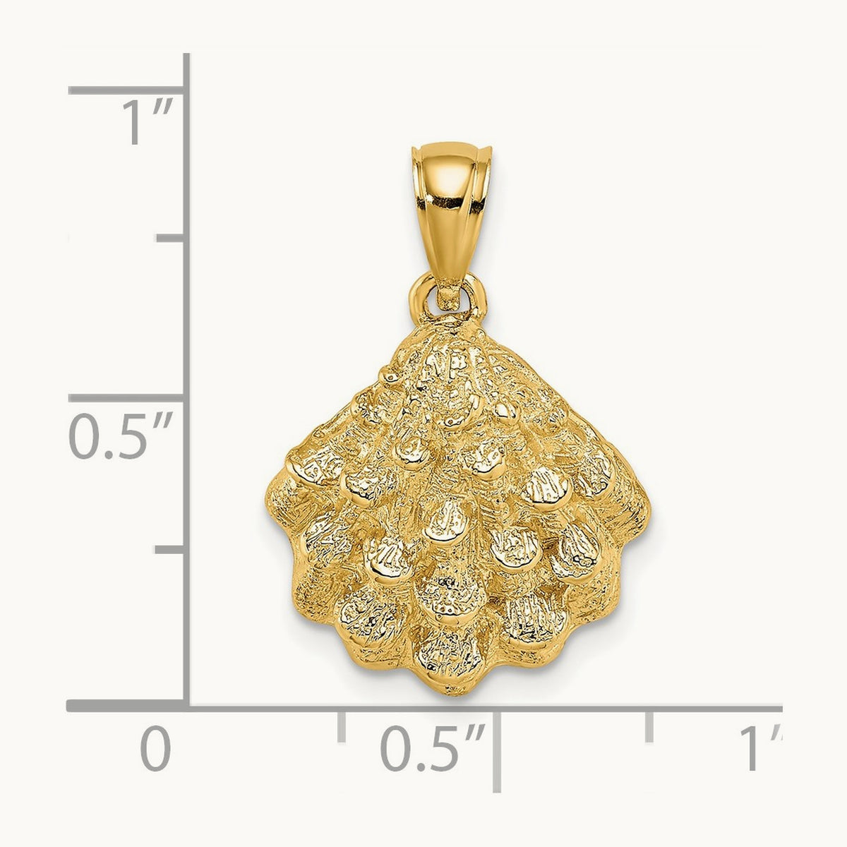 Textured Oyster Shell Charm — 22mm