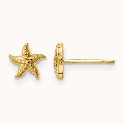 Starfish Post Earrings — 6.36mm